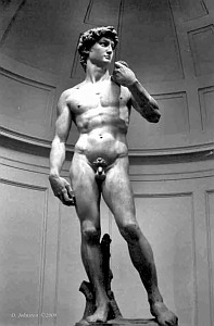 Michaelangelo's David in the Accademia, Florence