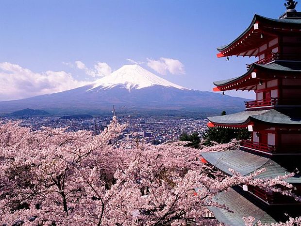 Mount Fuji, Japan and the springtime cherry blossoms